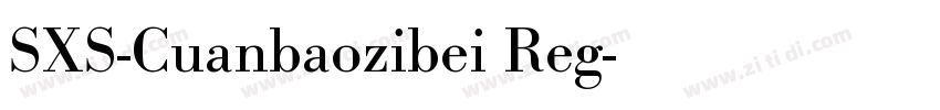 SXS-Cuanbaozibei Reg字体转换